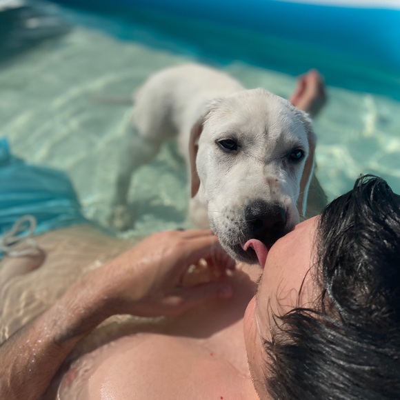 Meet your Posher - Picture 9 of 11